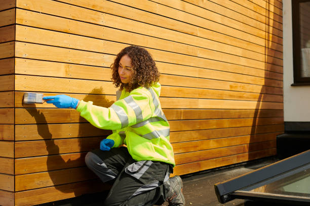 Professional Siding in Fremont, MI